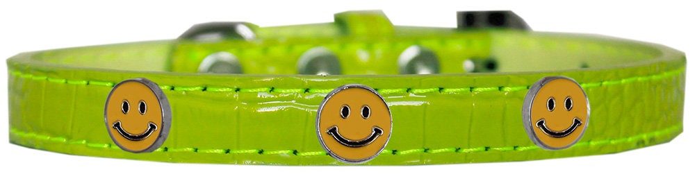 Dog, Puppy & Pet Designer Croc Widget Collar, "Happy Face"