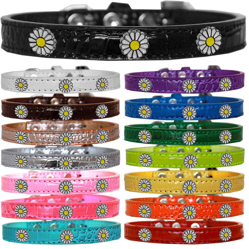 Dog, Puppy & Pet Designer Croc Widget Collar, "White Daisies"