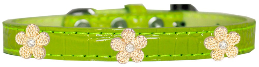 Dog, Puppy & Pet Designer Croc Widget Collar, "Gold Flowers"