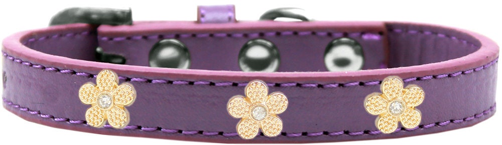 Dog, Puppy & Pet Widget Collar, "Gold Flower"