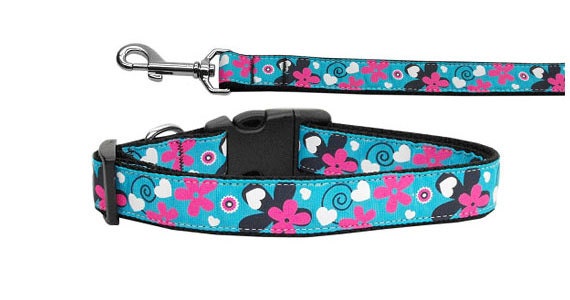 Pet Dog & Cat Nylon Collar or Leash, "Aqua Love"