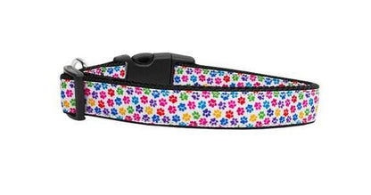 Pet Dog & Cat Nylon Collar or Leash, "Confetti Paws"