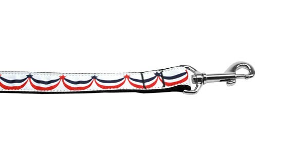 Pet Dog & Cat Nylon Collar or Leash, "American Swag"