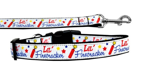 Pet Dog & Cat Nylon Collar or Leash, "Lil' Firecracker"