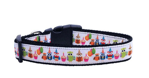 Pet Dog & Cat Nylon Collar or Leash, "Party Owls"