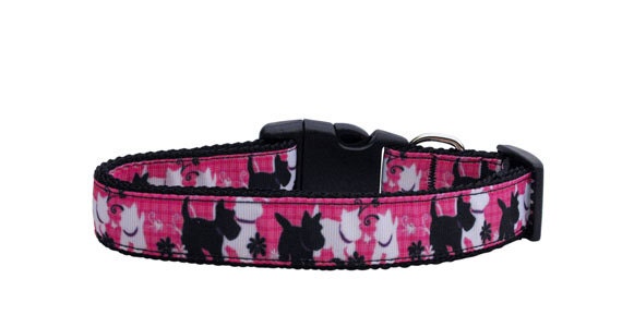 Pet Dog & Cat Nylon Collar or Leash, "Plaid Pups"