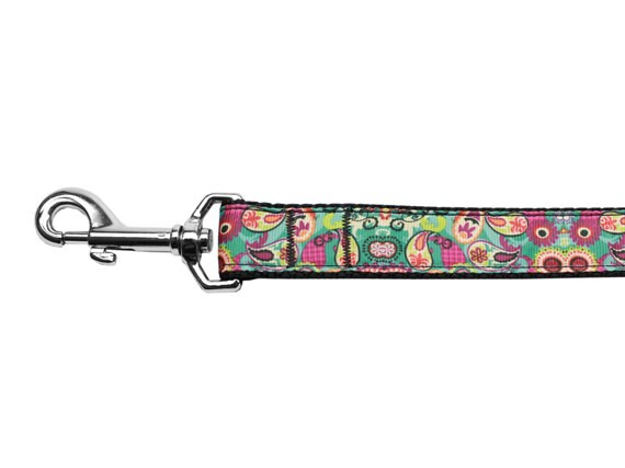 Pet Dog & Cat Nylon Collar or Leash,  "Turquoise Paisley"