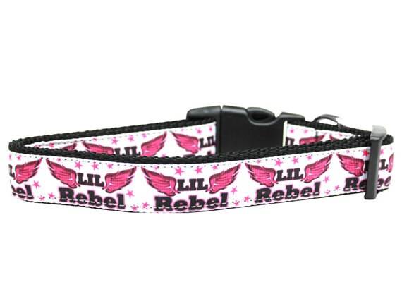 Pet Dog & Cat Nylon Collar or Leash, "Lil Rebel"