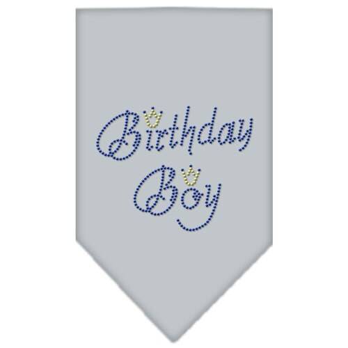 Pet and Dog Bandana Rhinestone, "Birthday Boy"