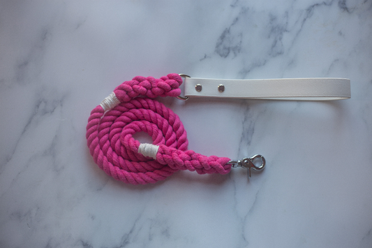 Biothane & Rope Leash Combo