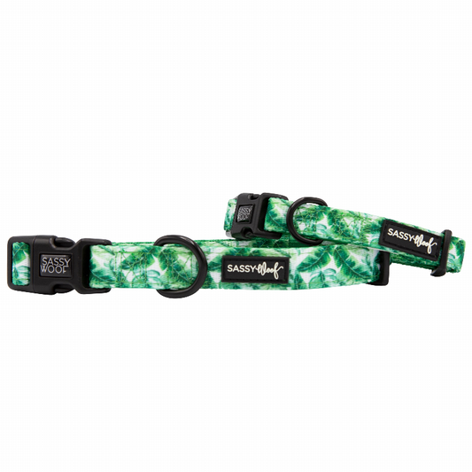 Sassy Woof Dog Collars