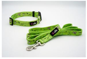 Dog Collar And Leash Set